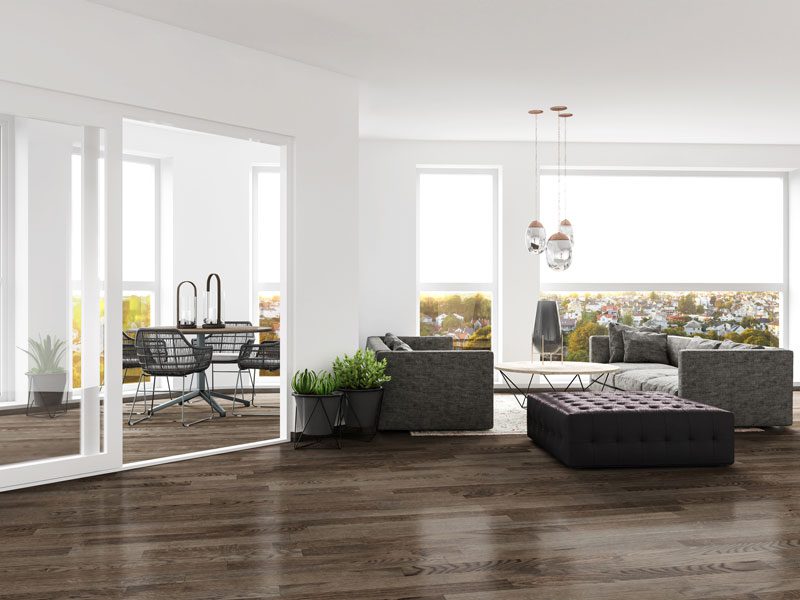 sliding-glass-doors-GettyImages-1178792744 Inabinet Glass & Mirror | Columbia, SC | sliding glass doors